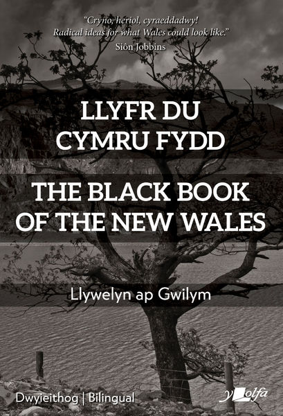 An “exciting blueprint for building a better society” – utopian vision for a new independent Wales